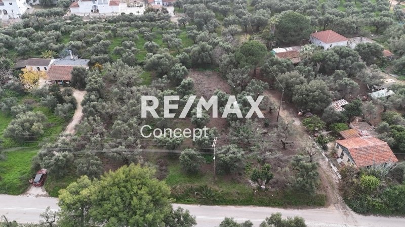 Land in Mpoxalis, Peloponnese, Western Greece and the Ionian, Greece 2 - 16829848