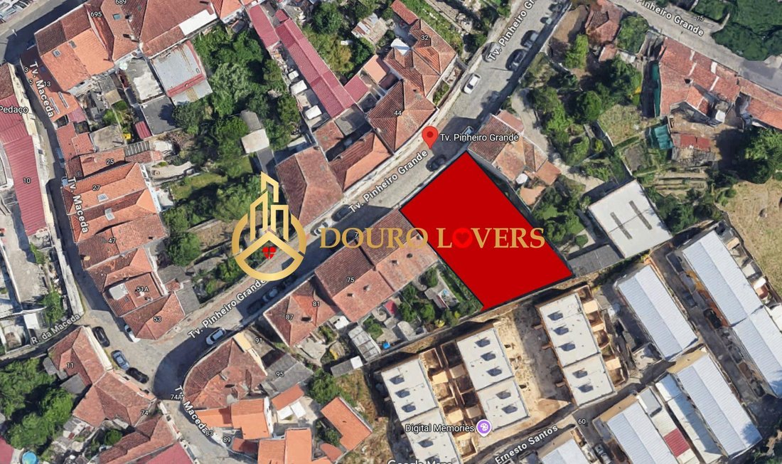 Campanha, Porto District, Portugal 2 - 16834780