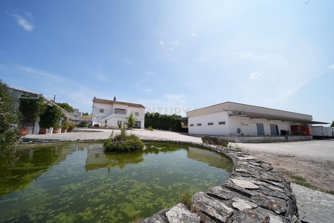 Palmela, Setubal, Portugal 1 - 16835183