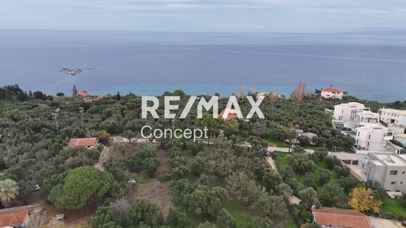 Land in Mpoxalis, Peloponnese, Western Greece and the Ionian, Greece 1 - 16829848
