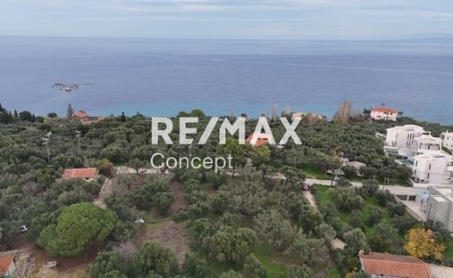 Land in Mpoxalis, Peloponnese, Western Greece and the Ionian, Griechenland 1