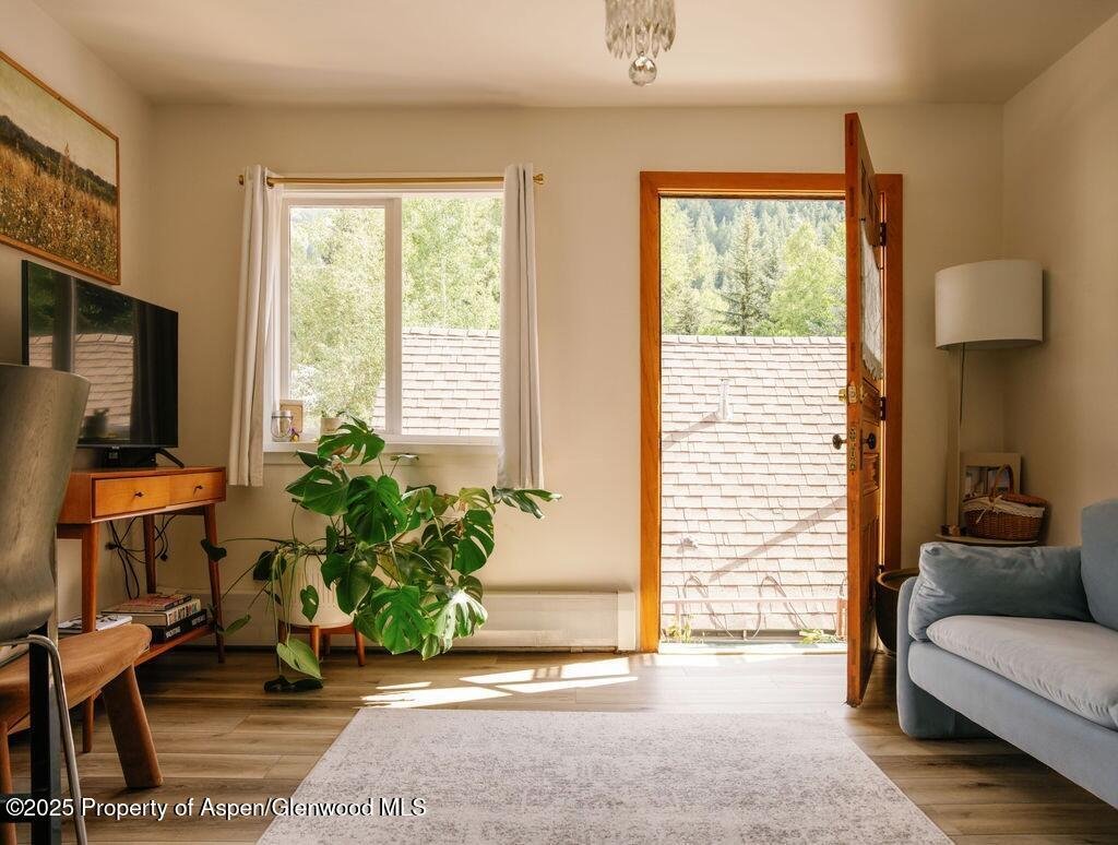 Condo in Aspen, Colorado, United States 5 - 16829835