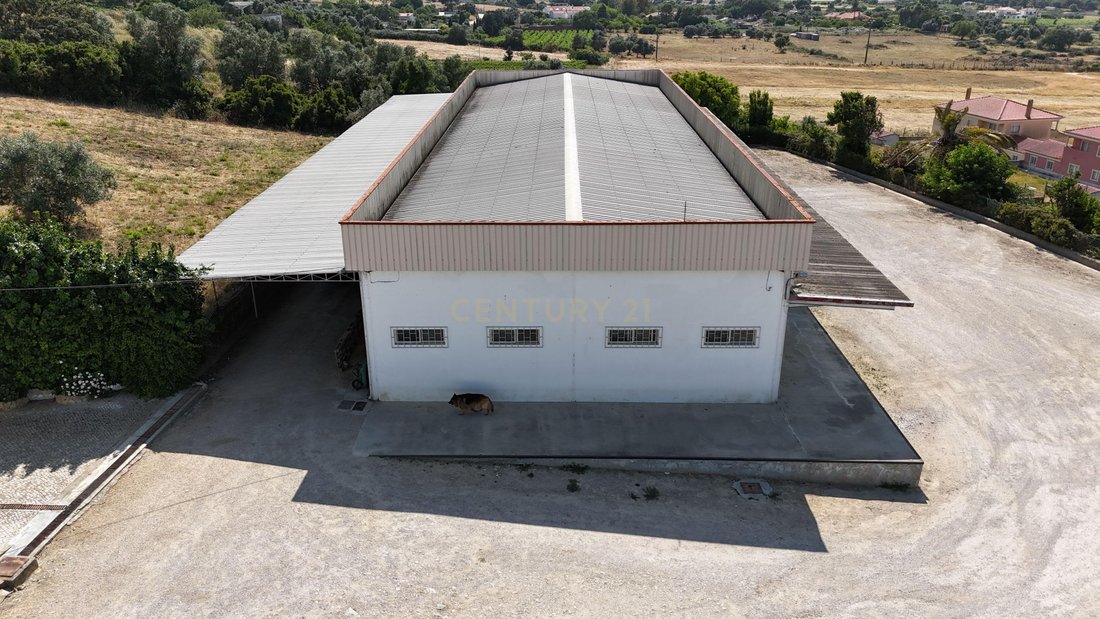 Palmela, Setubal, Portugal 4 - 16835183