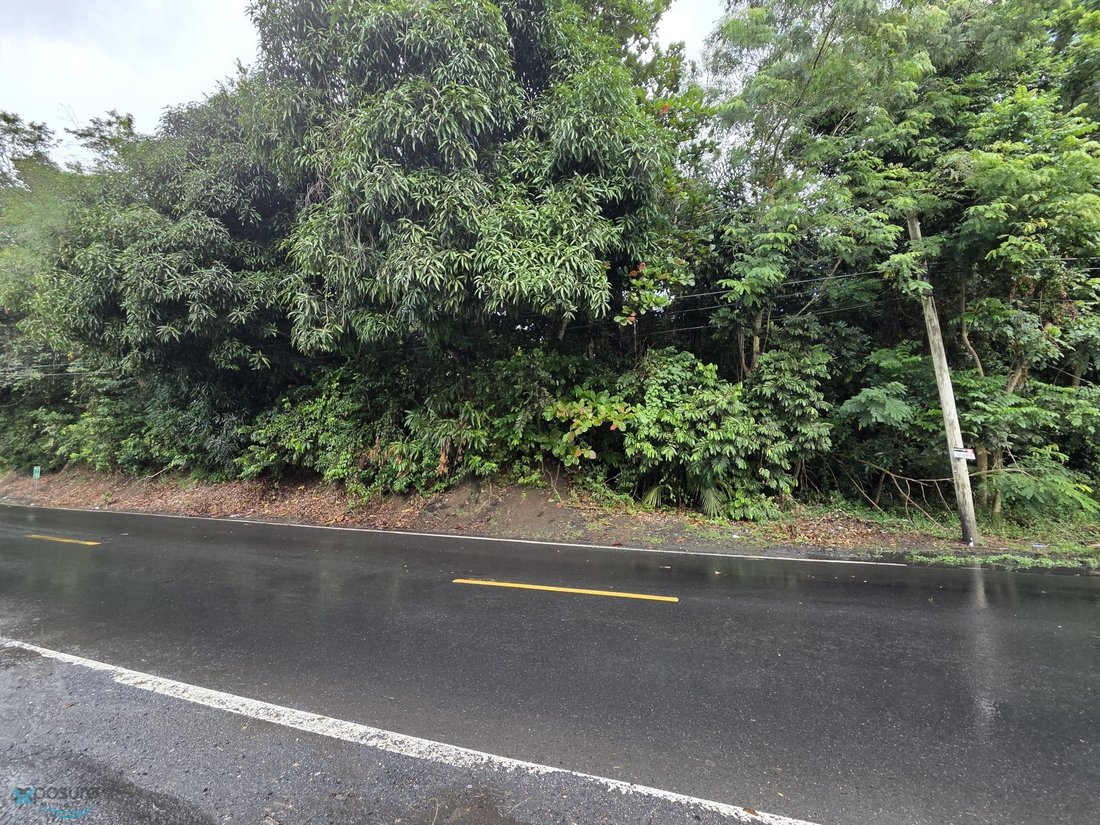 Land in Carolina, Carolina, Puerto Rico 3 - 16836886