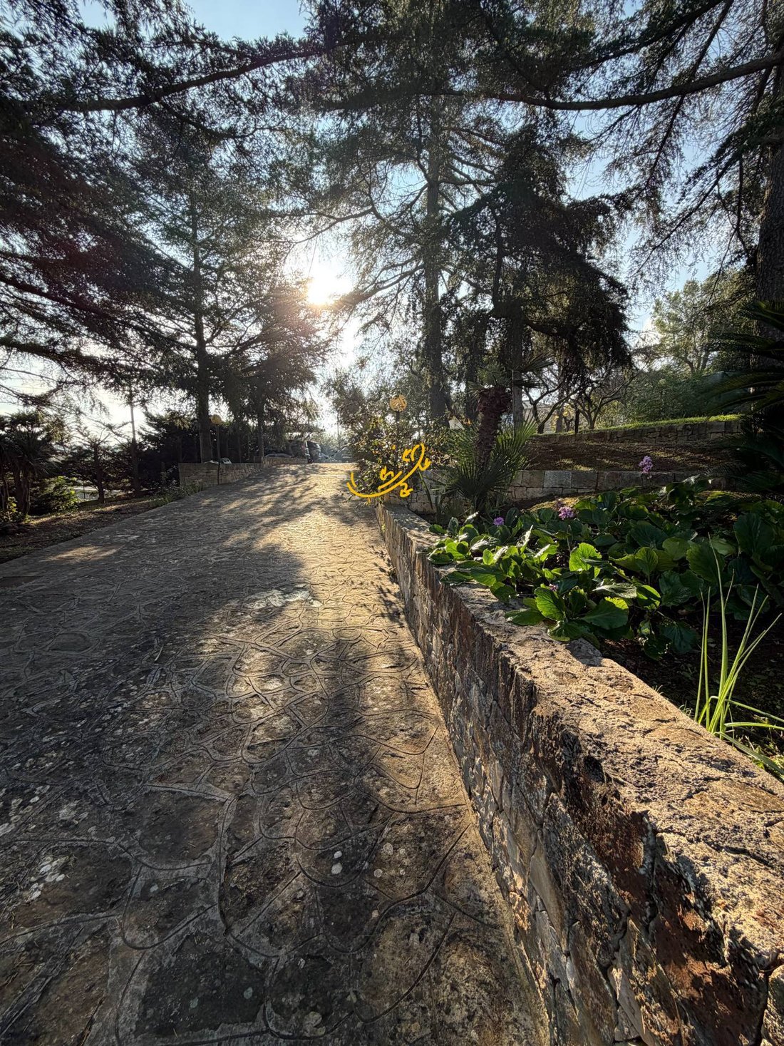 Villa in Putignano, Apulia, Italy 5 - 16834186
