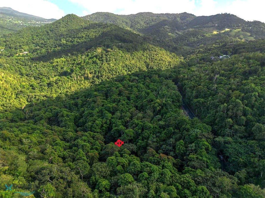 Land in Carolina, Carolina, Puerto Rico 1 - 16836886