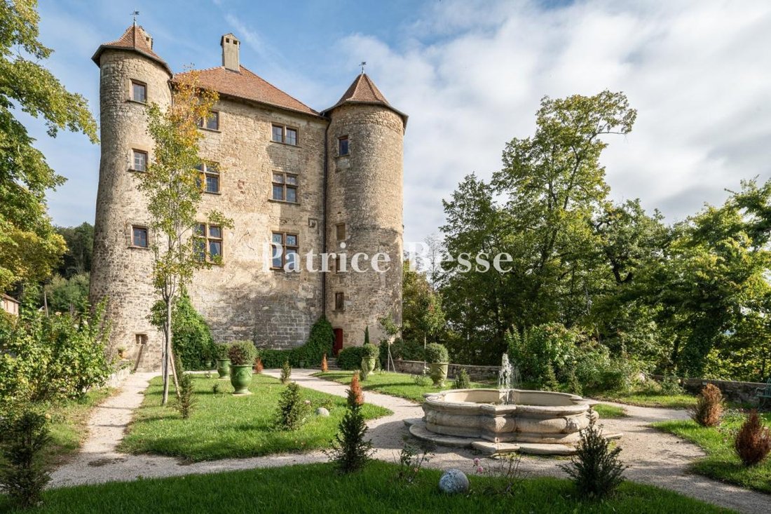 Castle in Centre Ville, Valence, France 2 - 16833033