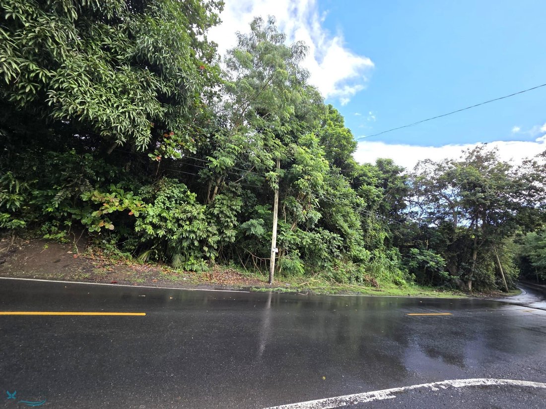 Land in Carolina, Carolina, Puerto Rico 4 - 16836886
