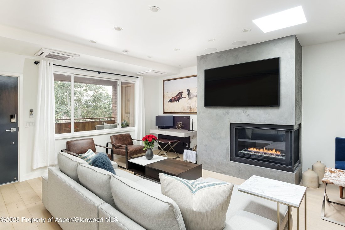 Condo in Aspen, Colorado, United States 1 - 16831134