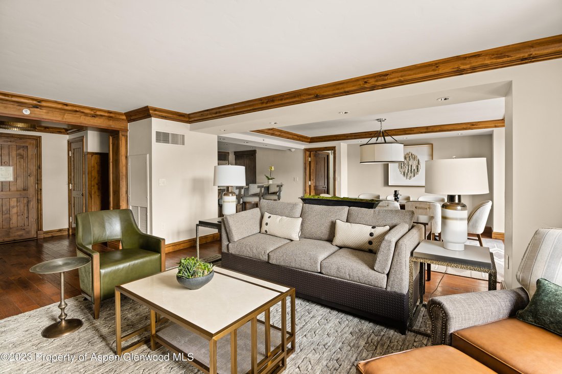 Apartment in Aspen, Colorado, United States 2 - 16829928