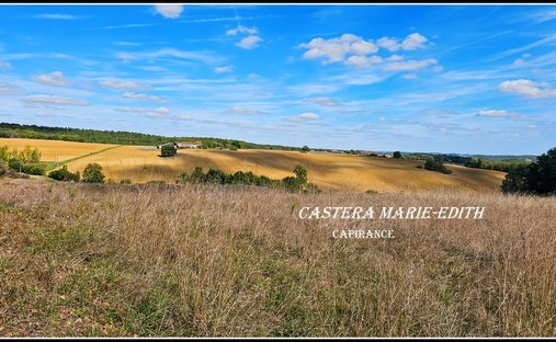 Château Vic Fezensac 503.14 Sqm 9 Rooms