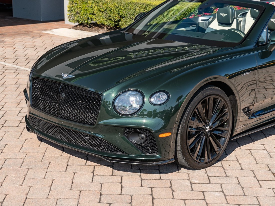 Cabriolet in Naples, FL 3 - 16819639
