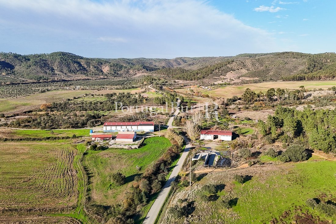 Estate in Vila Velha de Rodao, Castelo Branco District, Portugal 5 - 16563441