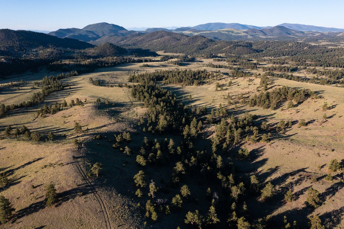 Farm Ranch in Guffey, Colorado, United States 4 - 14461510