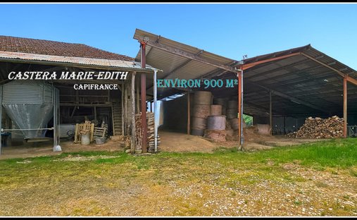 Château Vic Fezensac 503.14 Sqm 9 Rooms