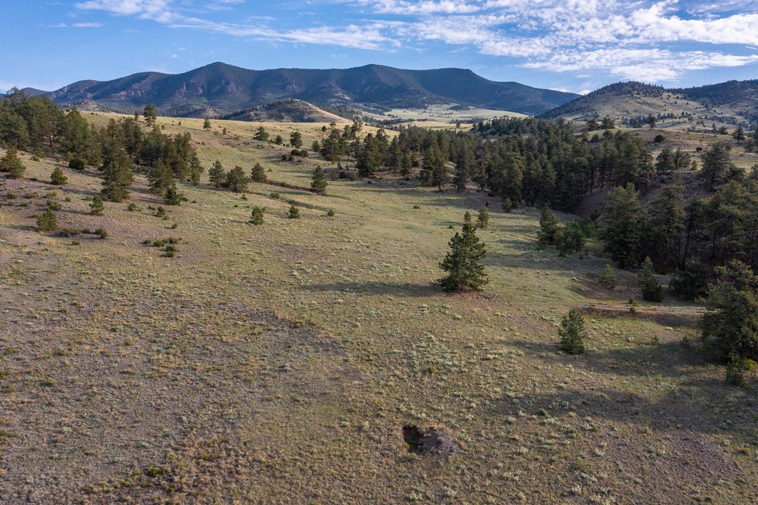 Farm Ranch in Guffey, Colorado, United States 3 - 14461510