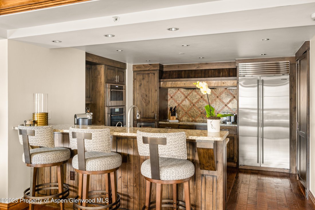 Apartment in Aspen, Colorado, United States 5 - 16829928