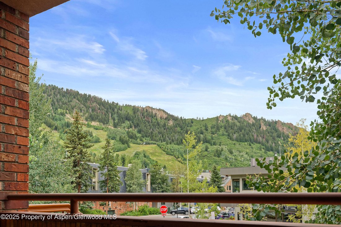 Condo in Aspen, Colorado, United States 5 - 16831134