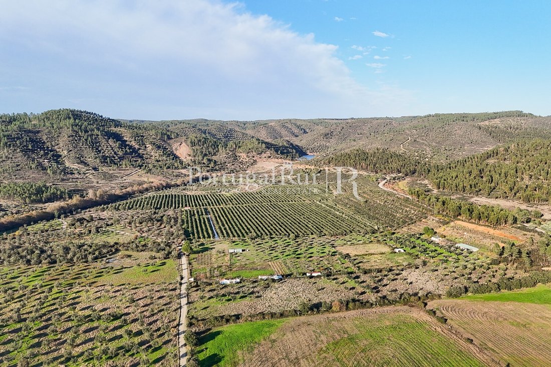 Estate in Vila Velha de Rodao, Castelo Branco District, Portugal 1 - 16563441