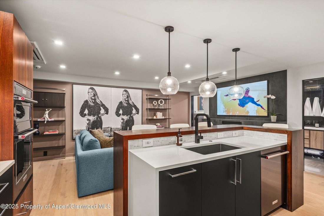 Condo in Aspen, Colorado, United States 5 - 16831219