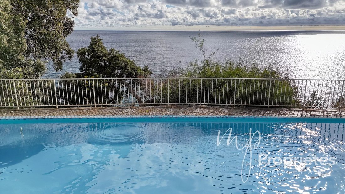 House in La Croix-Valmer, Provence-Alpes-Côte d'Azur, France 3 - 16708467
