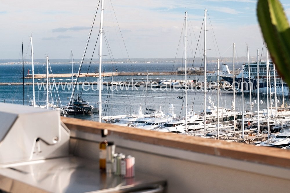 Penthouse in Palma, Balearic Islands, Spain 3 - 16839891