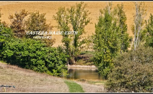 Château Vic Fezensac 503.14 Sqm 9 Rooms