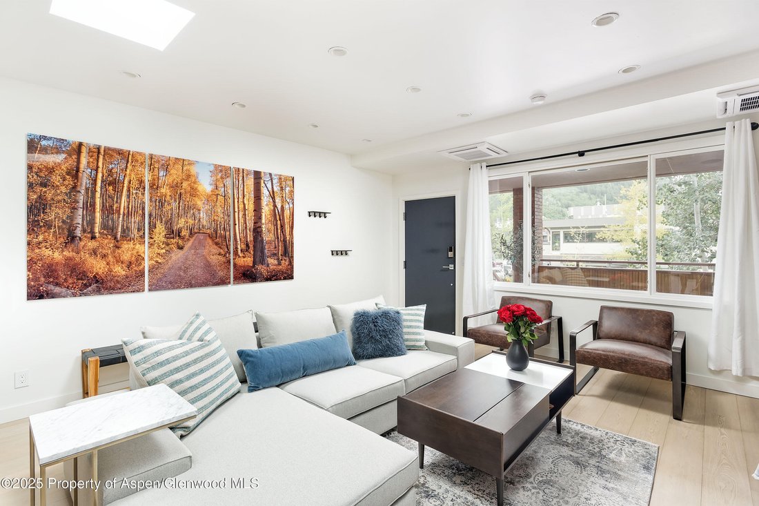Condo in Aspen, Colorado, United States 3 - 16831134