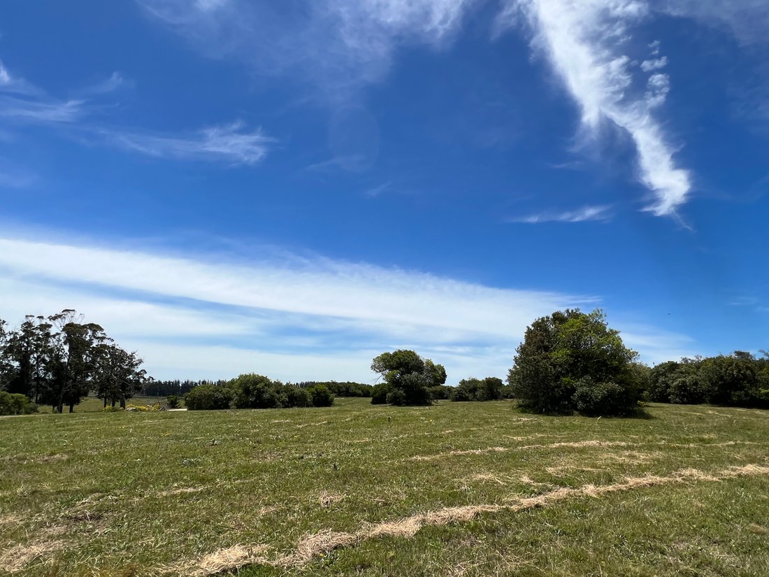 Land in José Ignacio, Maldonado Department, Uruguay 5 - 16831957