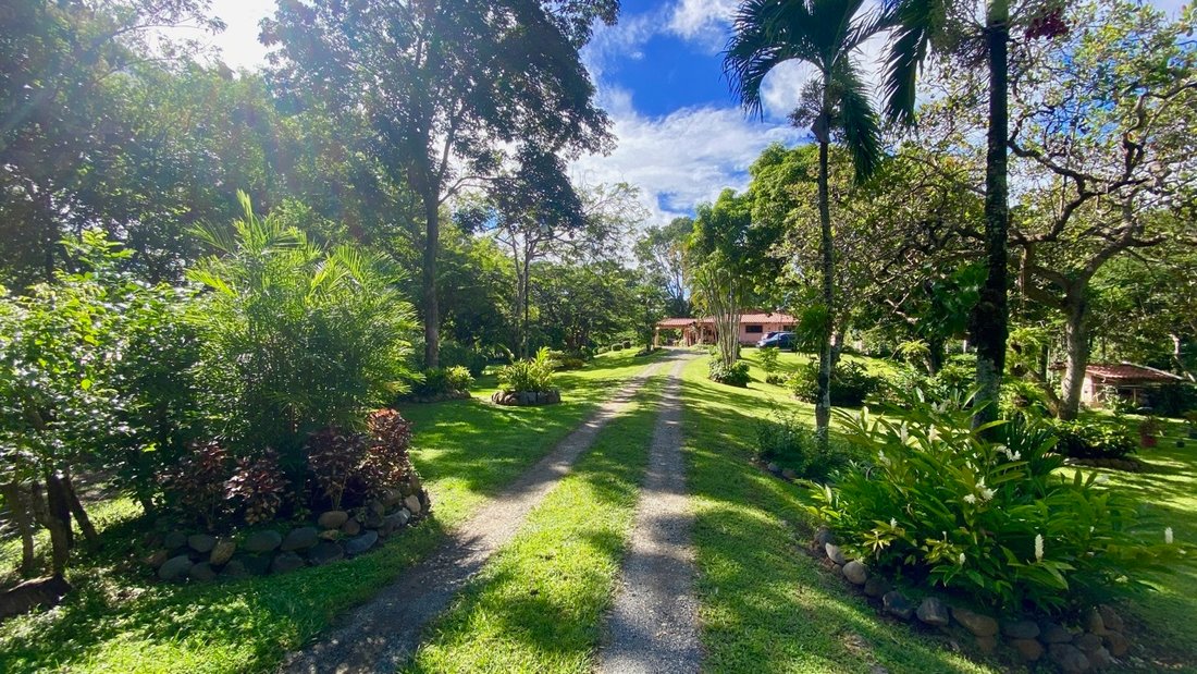 Farm Ranch in La Pintada, Coclé Province, Panama 5 - 16832729