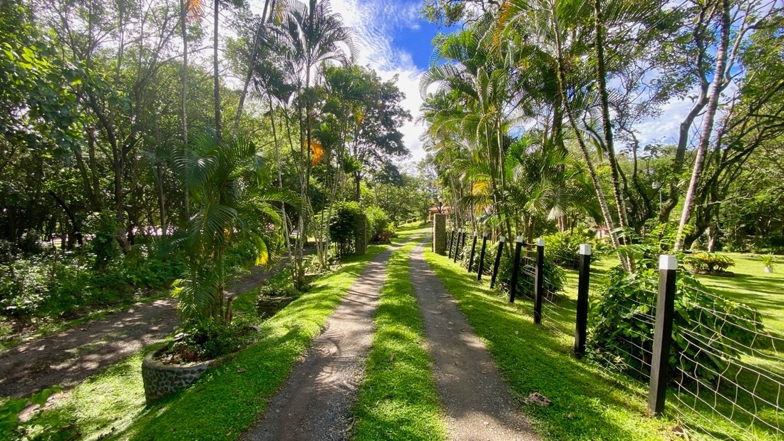 Farm Ranch in La Pintada, Coclé Province, Panama 4 - 16832729