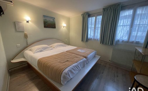 Castle for Sale in Tours, Centre-Val de Loire, France