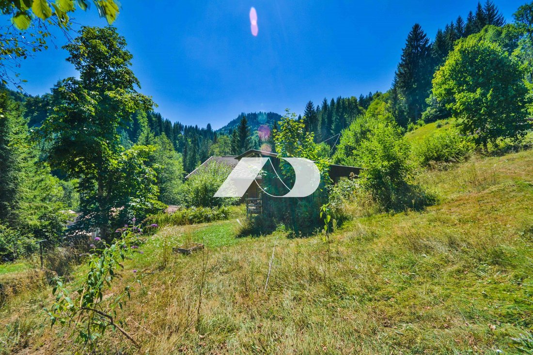 Chalet in La Côte-d'Arbroz, Auvergne-Rhône-Alpes, France 2 - 16838118
