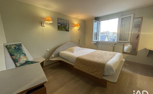 Castle for Sale in Tours, Centre-Val de Loire, France