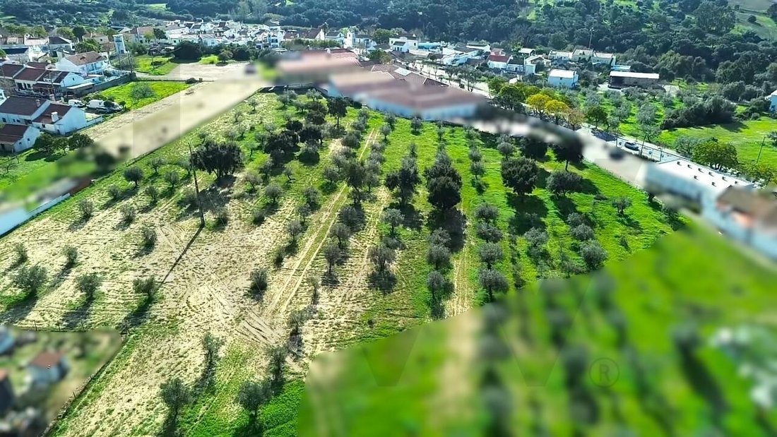 Land in Melides, Setubal, Portugal 1 - 16834512