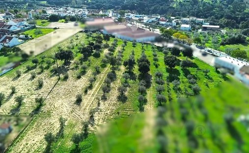 Land in Melides, Setubal, Portugal 1