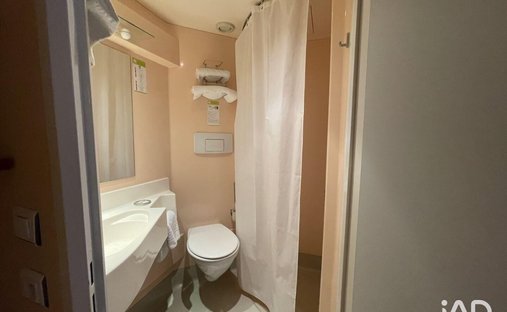 Castle for Sale in Tours, Centre-Val de Loire, France