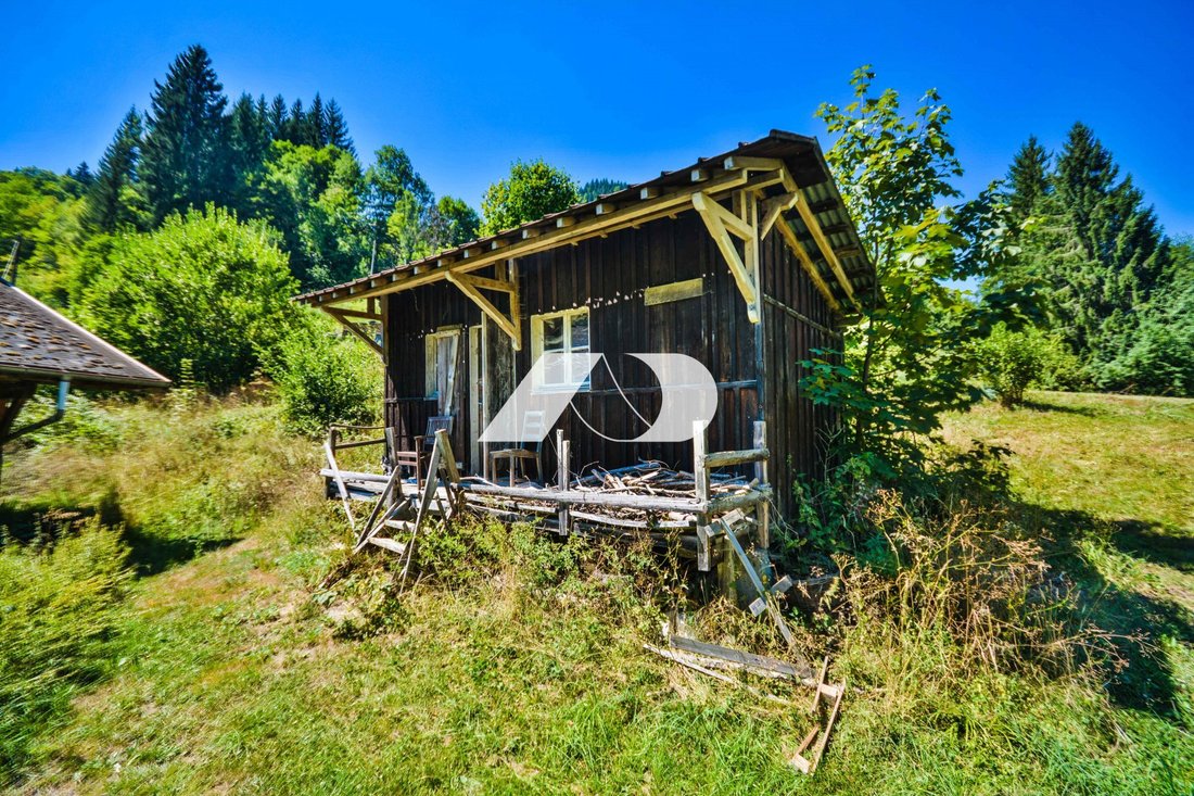 Chalet in La Côte-d'Arbroz, Auvergne-Rhône-Alpes, France 4 - 16838118