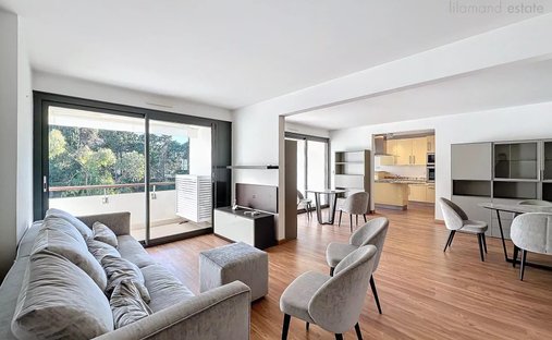 Apartment in Camp Long, Cannes, France 1