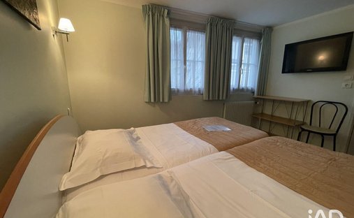 Castle for Sale in Tours, Centre-Val de Loire, France