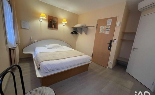 Castle for Sale in Tours, Centre-Val de Loire, France