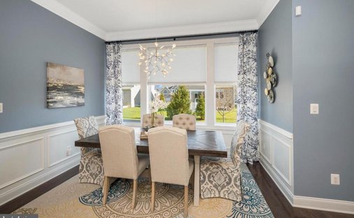 House in Gainesville, Virginia, United States 1