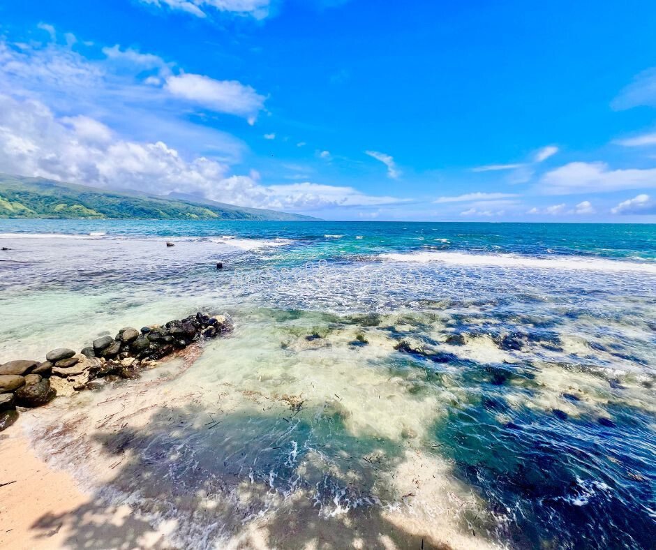 Land in Afaahiti, Windward Islands, French Polynesia 2 - 16834328