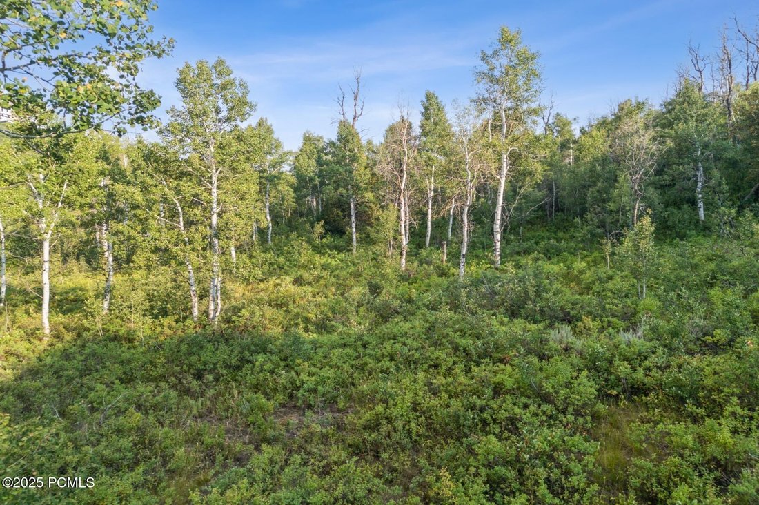 Heber City, Utah, United States 5 - 16831405