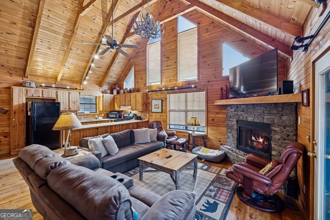 House in Mineral Bluff, Georgia, United States 3 - 16806604