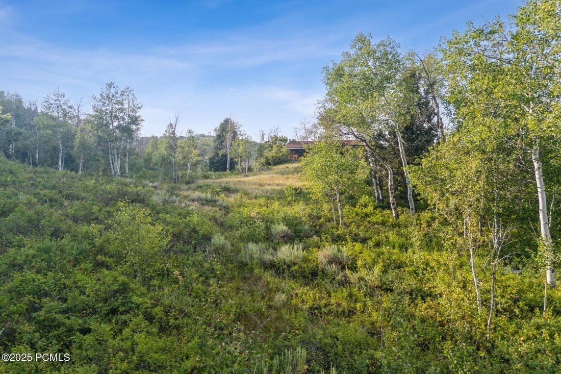 Heber City, Utah, United States 4 - 16831405