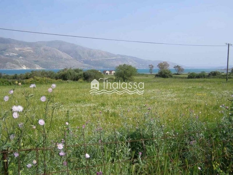 Land in Paliki, Peloponnese, Western Greece and the Ionian, Greece 3 - 16830534