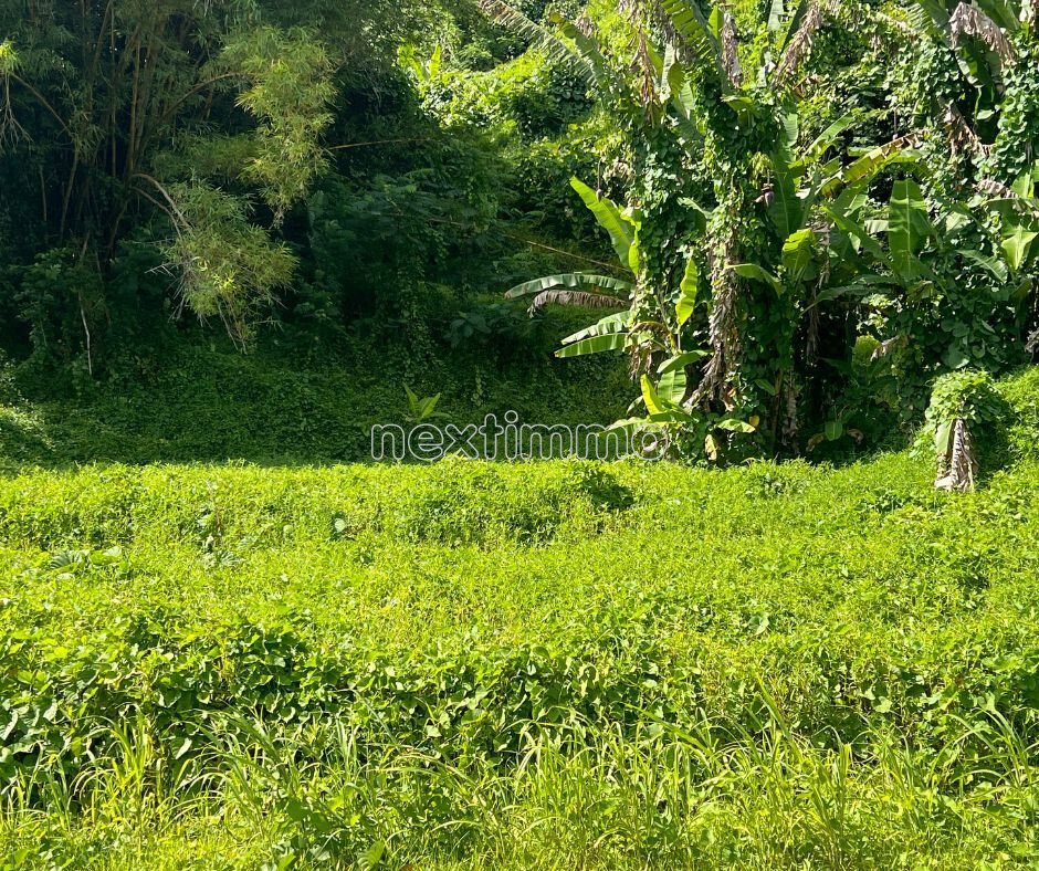 Farm Ranch in Taha'a, Leeward Islands, French Polynesia 3 - 16834294