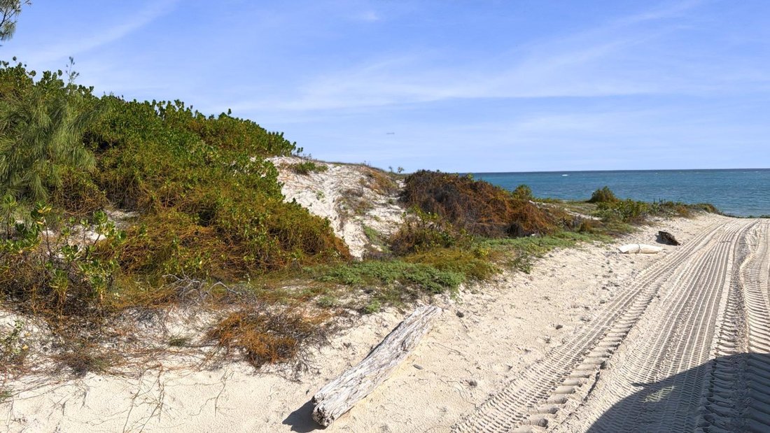 Land in Cockburn Harbour, Caicos Islands, Turks and Caicos Islands 4 - 16833496