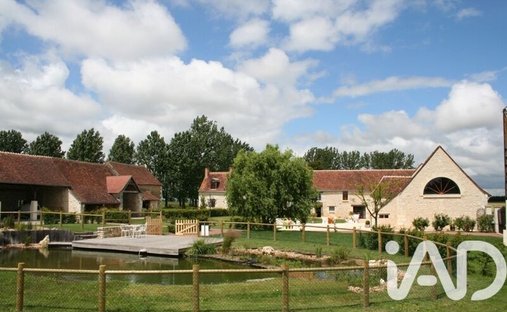 House in Bossée, Centre-Val de Loire, France 1